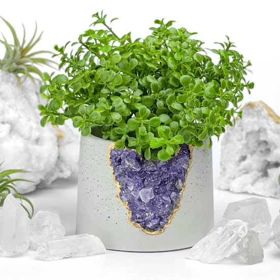 A white and purple Aura8ArtBoutique Geode Planter Pot holding a green succulent plant in the middle of quartz crystals and green leaves