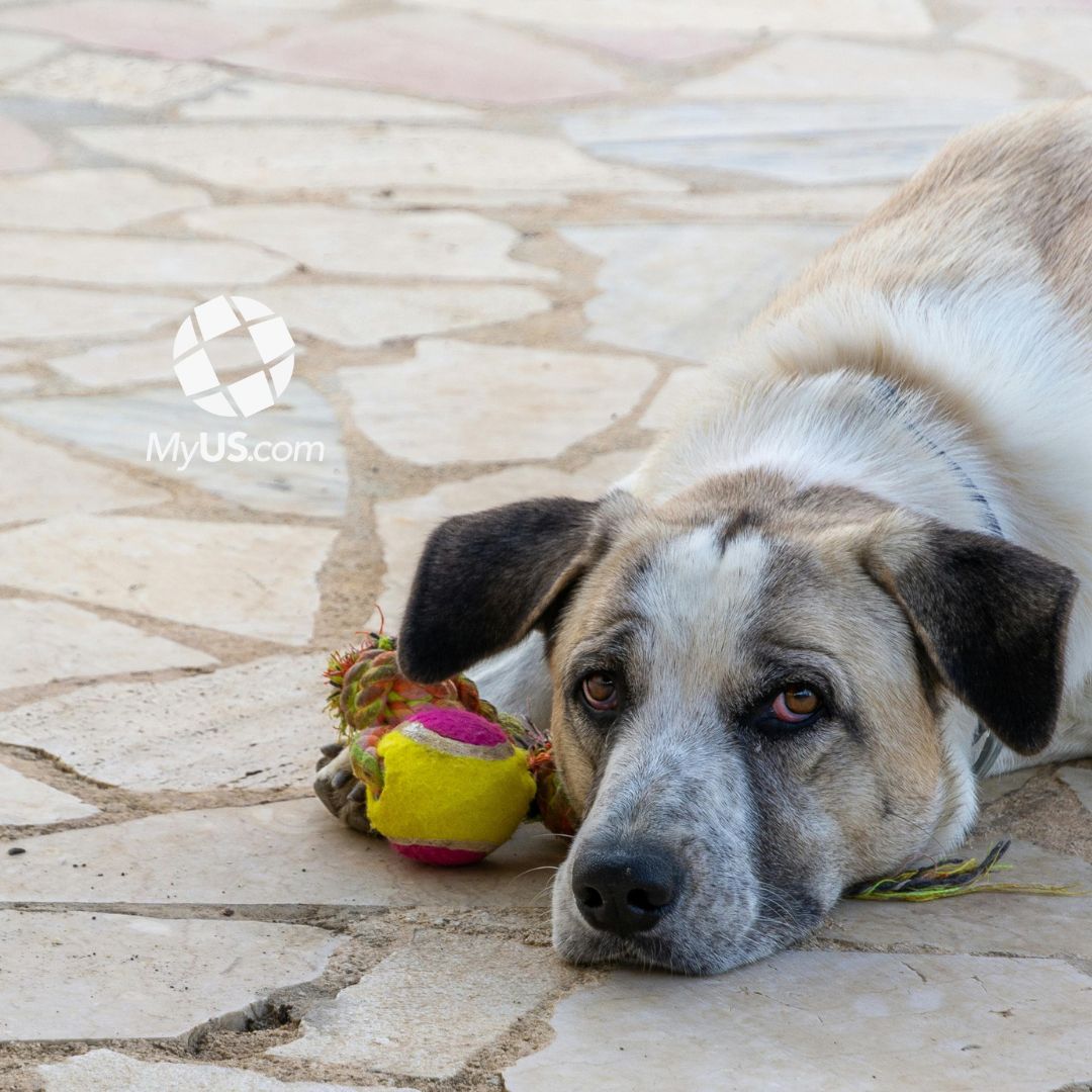 Trending Video Game Thumbnail