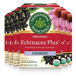 Traditional Medicinals Organic Echinacea Plus Elderberry Seasonal Tea, 6 Packs with 16 Tea Bags 