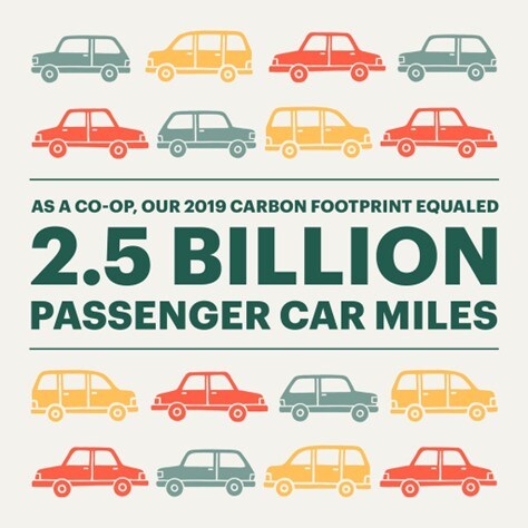 An infographic from REI showing their impact on the reduction of carbon footprint