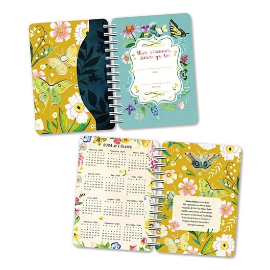 Two open Katie Daisy planners, displaying a calendar and blue and yellow pages with flowers and butterflies 