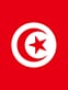 Tunisia Flag