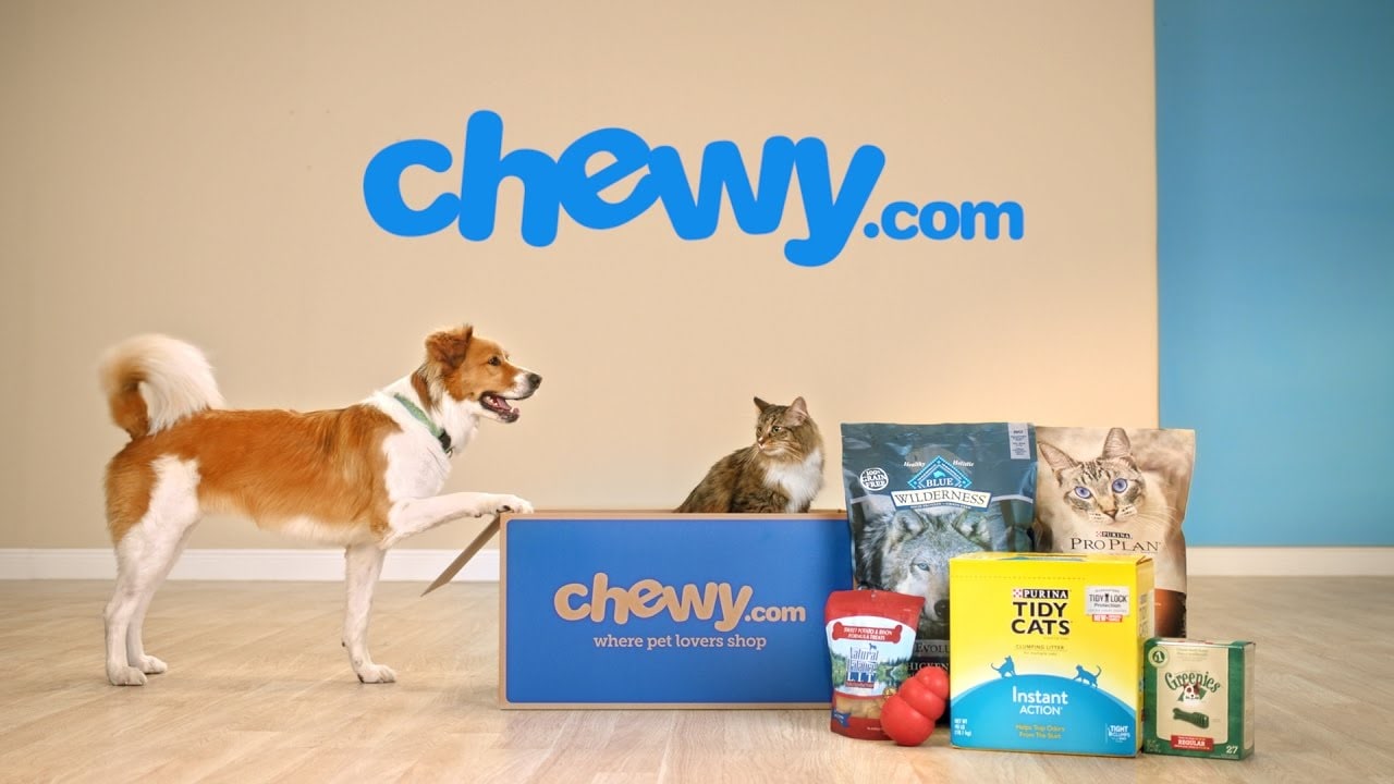 Chewy store dog store