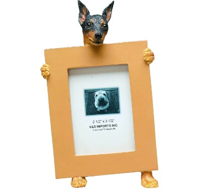 Miniature Pinscher Picture Frame Holds Your Favorite 2.5 by 3.5 Inch Photo, Hand Painted Realistic Looking Miniature Pinscher Stands 6 Inches Tall Holding Beautifully Crafted Frame, Unique and Special Miniature Pinscher Gifts for Miniature Pinscher Owners