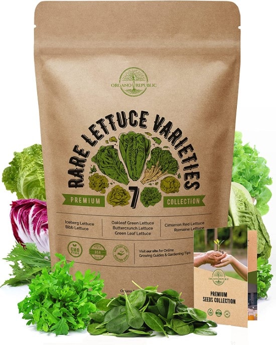  Rare Lettuce Varieties 7 Lettuce seeds variety pack