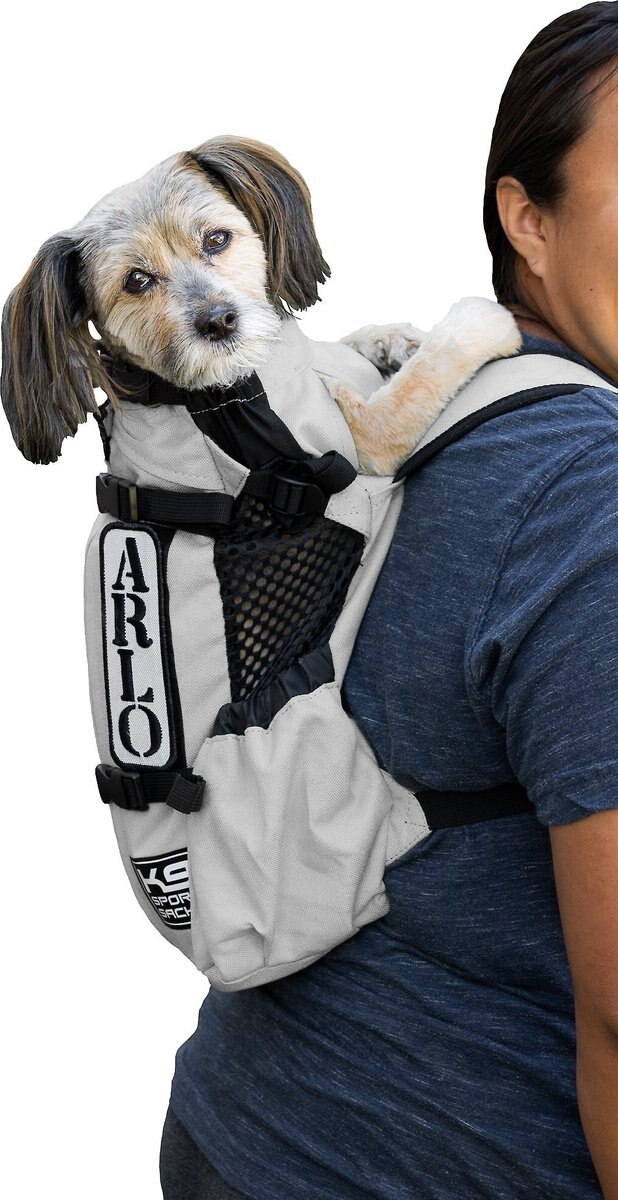 dog in gray forward facing dog carrier on man's back