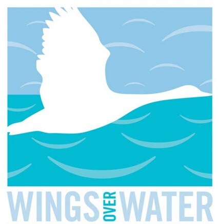 A “Wings Over Water” vector poster split in two with different blue shades that represent water and the sky and a bird with its wings spread in the middle