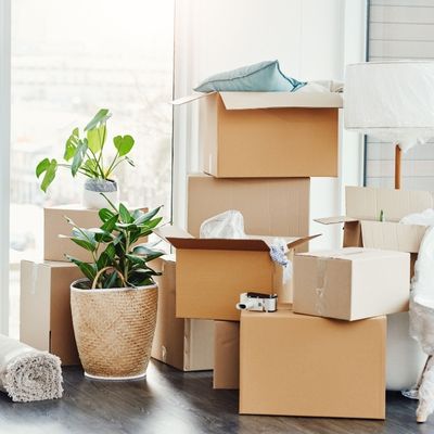 Packing Tips for Moving Household Essentials